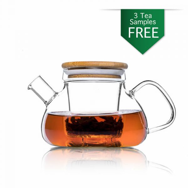 infuser n kettal Te.Cha-Glass-Teapot-Kettle-img-5